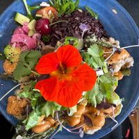 Vegan poke bowl with tempura shiitake, zucchini, tofu & broccolini, black rice, salad and onion pickle. Thoroughly delicious and worth the ~$27. Great staff too!  at The Port Hole Cafe in Cygnet