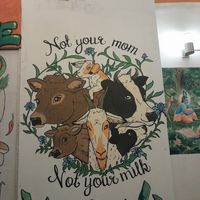  at Vegan House Cafe & Restaurant  in Lalitpur