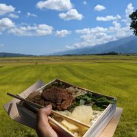  at Jixiangxuan Vegetarian Rice Bun Shop -吉祥軒素食飯包店 in Chishang