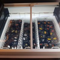 4 vegan sorbets at Dieci Pizza in Sion