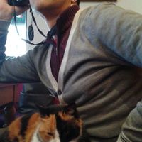 Resident kitty Zillion resting on a contented customer's belly. at Rumist in Istanbul