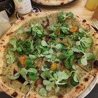 Zohan at Radius in Linz