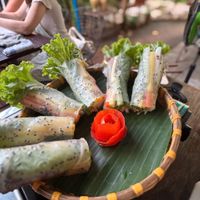 Summer rolls  at Authentic Vietnamese Vegan Cooking Class in Hoi An