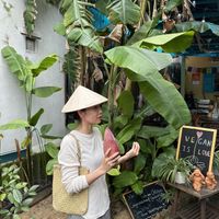 Getting an interesting Tour around  at Authentic Vietnamese Vegan Cooking Class in Hoi An