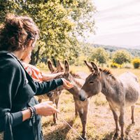  at Agriturismo Pianeta Verde B&B in Montenero Sabino
