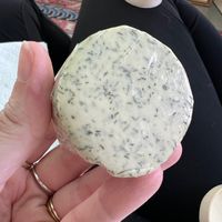 Locally made vegan cheese  at New Orleans Food Co-op in New Orleans