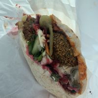 Falafel pita  at Habibah in Cheltenham