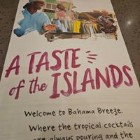  at Bahama Breeze in Tampa