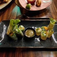 Fresh rolls at Asian Vegan Kitchen in Istanbul