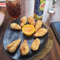 Crispy dumplings at Asian Vegan Kitchen in Istanbul