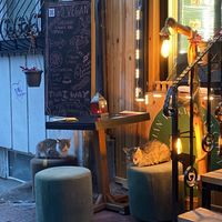   at Asian Vegan Kitchen in Istanbul