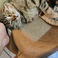  at Asian Vegan Kitchen in Istanbul