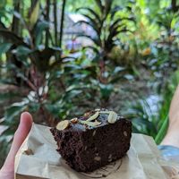 Chocolate brownie at Earth Tone in Pai