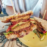 Tempeh Sandwich at Earth Tone in Pai