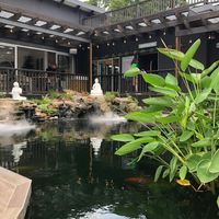 The Vegan Chef Fourways @Mohavi  at The Vegan Chef - Fourways @Mohavi in Johannesburg