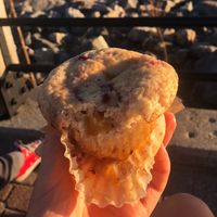   at Ester's Treats in Cranford