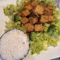 Sesame tofu dish  at Charlie Kang's Chinese & Korean Cuisine in East Lansing