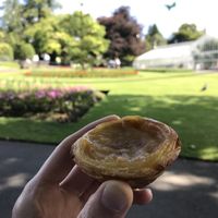   at Pastéis Lisboa in Glasgow