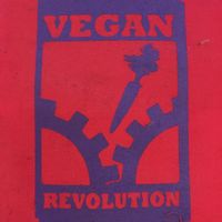 Power to the Plants!  at The Food Temple in Lisbon