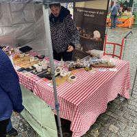 The Green Cheese Experience at Enfield Vegan Market (November 2023)  at Vegan Market Co in Ipswich