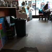 conter at The Forest Cafe in Edinburgh