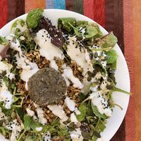 Salad with sunflower seed dressing, marinated mung and lentil sprouts + celery patty 💚  at Bliss Cafe in Stockholm