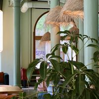 Ambience   at Wild Food in Barcelona