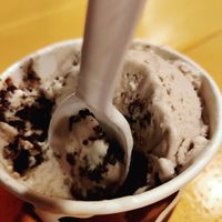 I had a kiddie size cup, single scoop and it was a good size. at Harbor Scoops in Punta Gorda