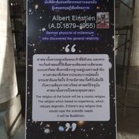 This is the weekly menu of this week. All the dishes are VEGAN at The Green Hut in Phuket