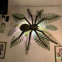 My wife hates spiders, but she got over it when she tasted the food. at Viva Chapata in Madrid