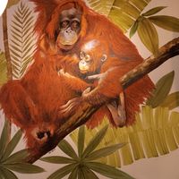  at Viva Chapata in Madrid