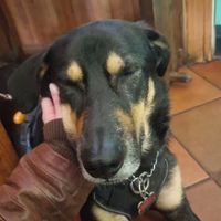 Sweetest employee! at Viva Chapata in Madrid