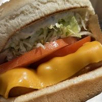 Fish burger   at Nice Burger in Irvine