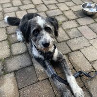   at Just Peachy Cafe in Shelbyville