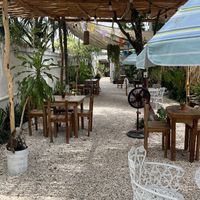   at Pak'al Fresh in Valladolid