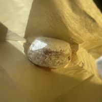 Sufganiyot  at Hook and Press in Santa Barbara