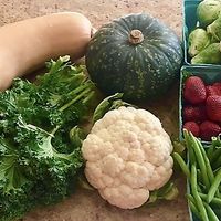 Fresh Produce & Flowers ! at Farmers' Market in Montclair