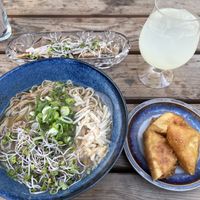 vegan noodle soup with tofu, tofu gyoza and lemonadee  at Shima in Aarhus