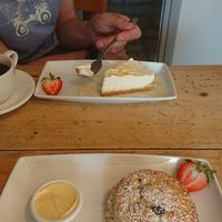 Huge, fluffy vegan fruit scone (and partner's non-vegan cheesecake) at Nosh in Pickering