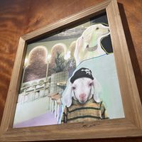   at Catapilcana Vegana in Santiago