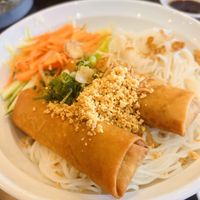 There were three vegan egg rolls, I ate one and then took the picture   at Hello Vietnam in Philadelphia
