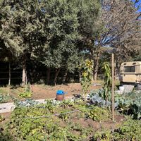   at Boutique Hotel Rancho Los Lobos in Jimena De La Frontera