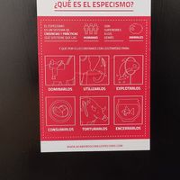 . at B13 Bar in Madrid