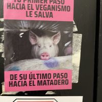 Wc sticker  at B13 Bar in Madrid