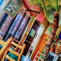 Interior at Olu Olu Cafe in Tokyo