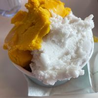 Mango/coconut gelato mix at D'Liras in Wilton Manors