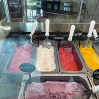 Decent choice of vegan gelato flavors at D'Liras in Wilton Manors