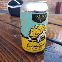 Beer from Sparks, NV at The Fix in Reno