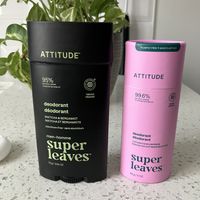   at Attitude in Montreal