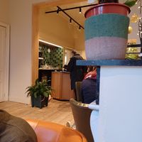 Counter with sweet treats at Eet- en Koffiehuis Cozette in Ghent